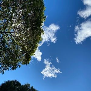 Meet your Posher, Ruba